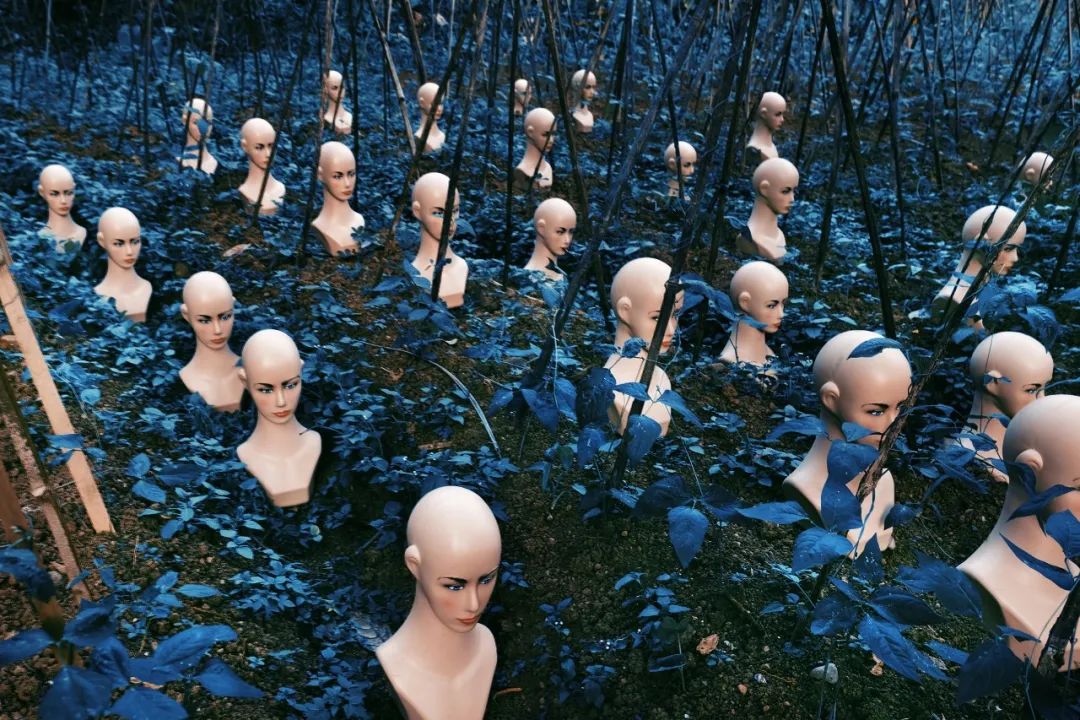 30.jpg 30.jpg