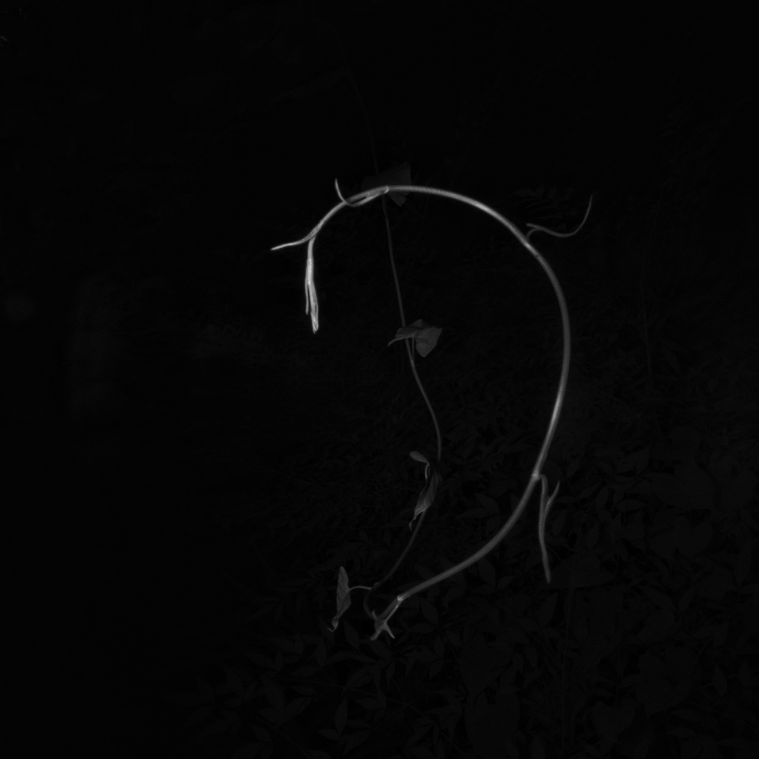 57.png 57.png