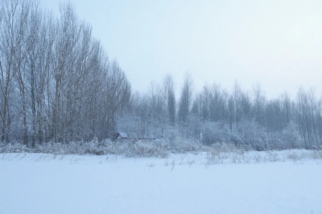 34.jpg 34.jpg