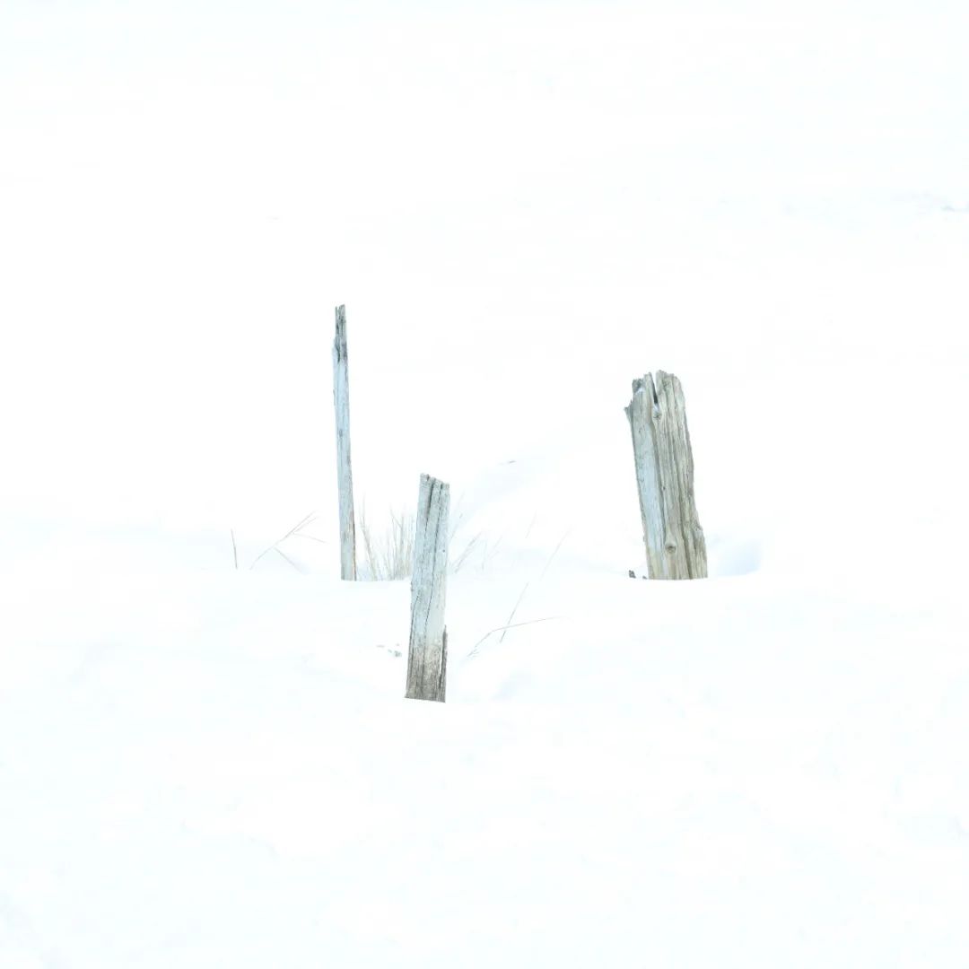 25.jpg 25.jpg