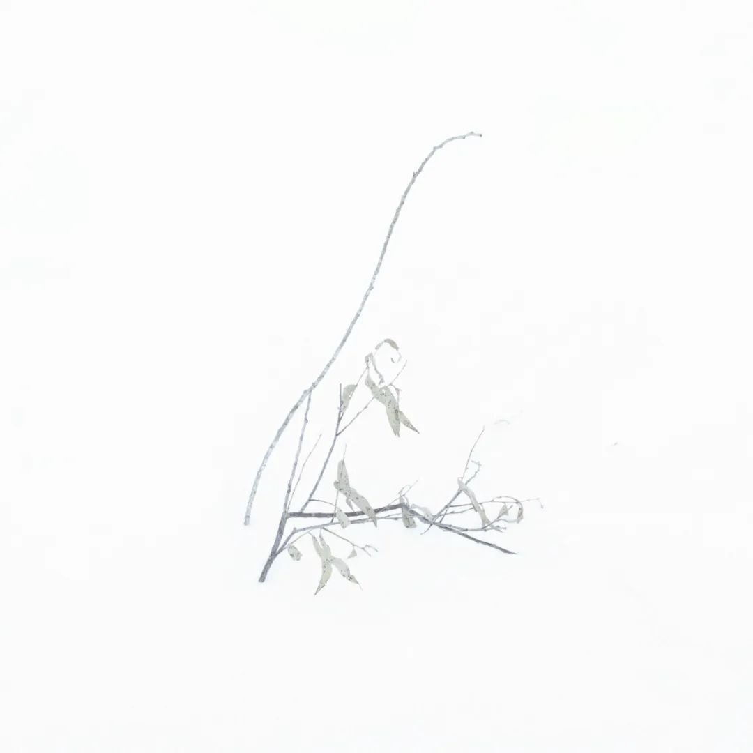 29.jpg 29.jpg